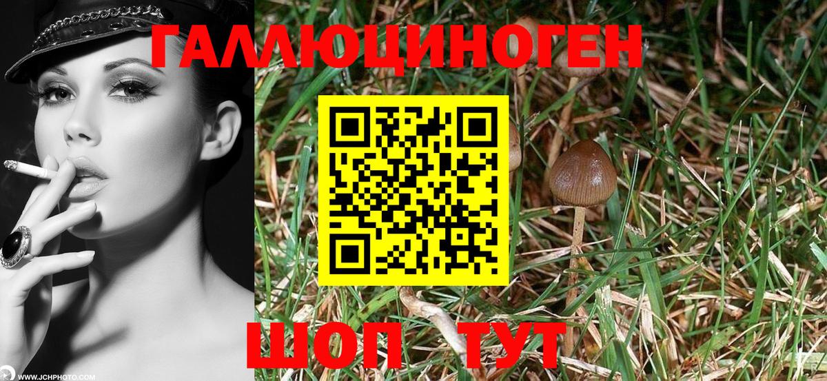Бугуруслан  Галлюциногенные грибы MAGIC MUSHROOMS  Псилоцибиновые грибы Magic Shrooms  Вход с VPN 